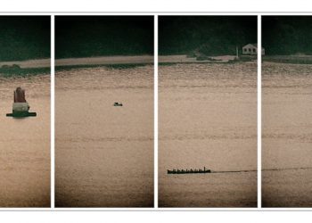 Trabajando en equipo