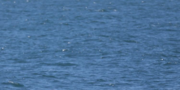 Incorporan drones a la búsqueda del desaparecido en A Guarda