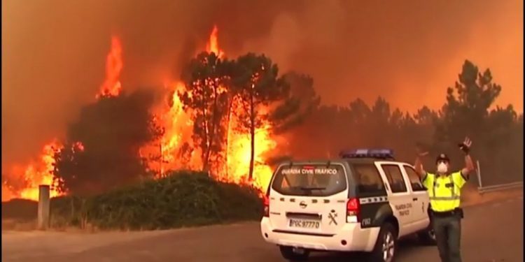 El fuego arrasa la provincia de Ourense