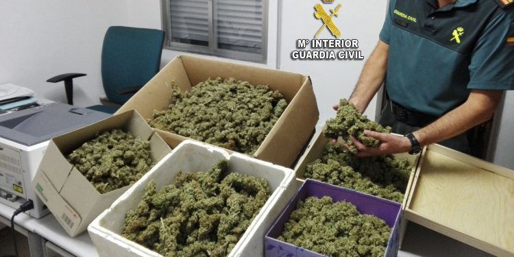 La Guardia Civil se incauta de cinco kilos de marihuana y cuatro plantas