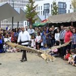 vicus-spacorum-2015-10