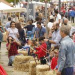 vicus-spacorum-2015-2