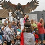 vicus-spacorum-2015-3