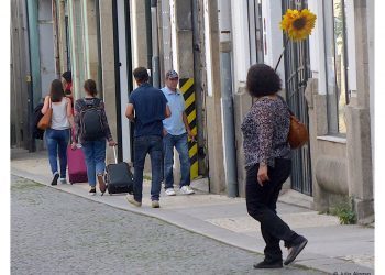 La chica del girasol