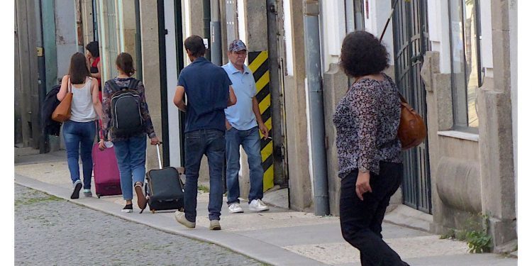 La chica del girasol