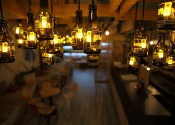 Progreso 41 suma cinco nuevas marcas y se prepara para más aperturas