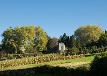 La Diputación recibe 21.000 euros por las uvas albariñas del castillo de Soutomaior