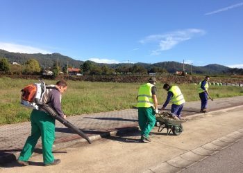 Unha brigada do Centro Juan María encárgase de recuperar as árbores de Porto do Molle