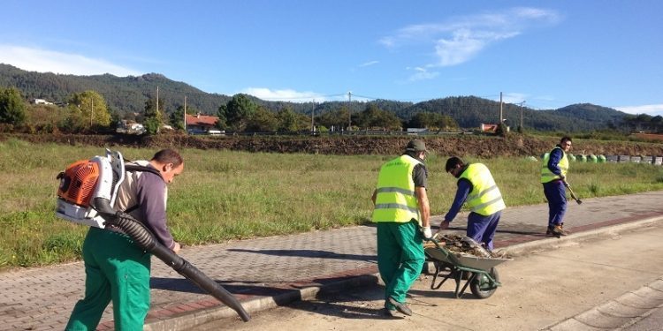 Unha brigada do Centro Juan María encárgase de recuperar as árbores de Porto do Molle