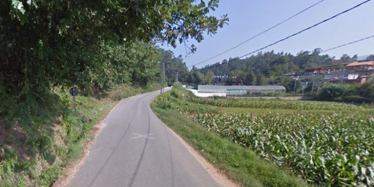 Herida en Mos tras pasarle la rueda de un tractor por encima