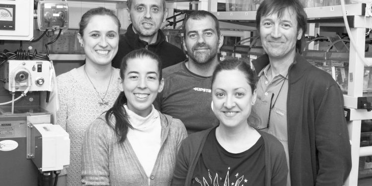 Científicos del CSIC en Vigo descubren una nueva vía para combatir la osteoporosis