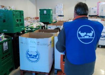 El Banco de Alimentos recibe más de 10.000 kilos de comida de los colegios