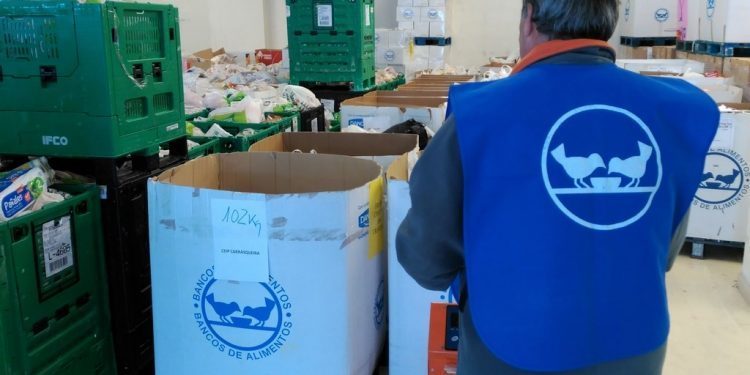 El Banco de Alimentos recibe más de 10.000 kilos de comida de los colegios