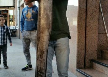 Un «súpercongrio» de la Ría de Vigo para los clientes más exclusivos de Panxón