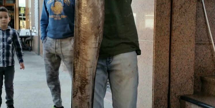 Un «súpercongrio» de la Ría de Vigo para los clientes más exclusivos de Panxón