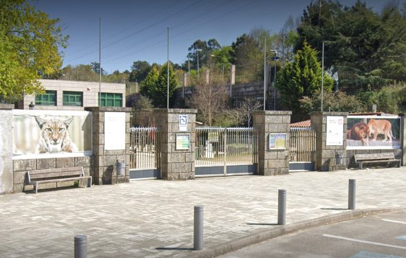 Dos ONGs ofrecen a Caballero su experiencia para transformar Vigozoo