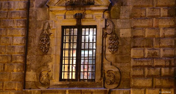 Anatomía tras la ventana