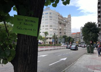 A denuncia contra a tala na Gran Vía de Vigo avanza no Europarlamento