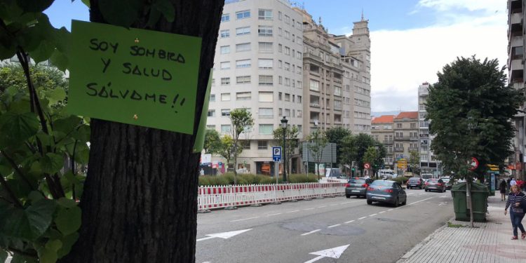 A denuncia contra a tala na Gran Vía de Vigo avanza no Europarlamento