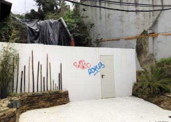 Las firmas de la incultura