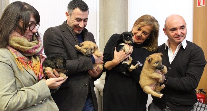 O Centro CAAN pecha 2019 cun récord de 466 adopcións
