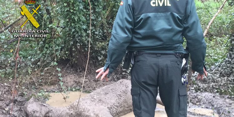 Investigan por maltrato animal al dueño de un caballo que falleció en Mos