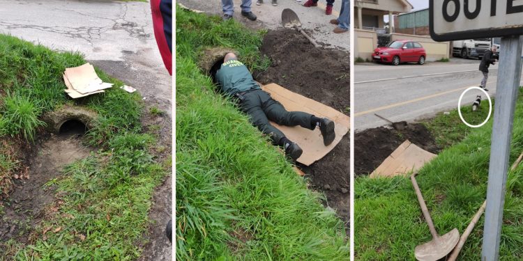 La Guardia Civil rescata en Vilaboa un perro atrapado en un tubo de 40 centímetros de diámetro