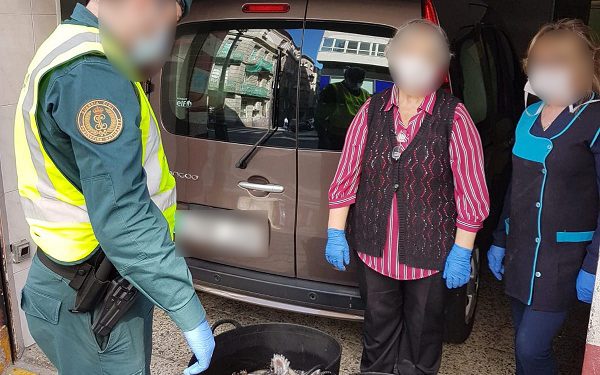 Interceptan en Baiona a un presunto furtivo con 28 kilos de pulpo y 8 kilos de nécoras