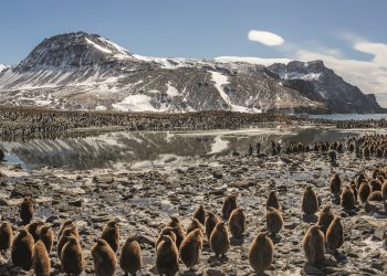 La aclamada serie de Netflix ‘Nuestro planeta’ llega a Vigo convertida en exposición