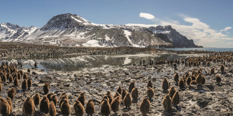 La aclamada serie de Netflix ‘Nuestro planeta’ llega a Vigo convertida en exposición