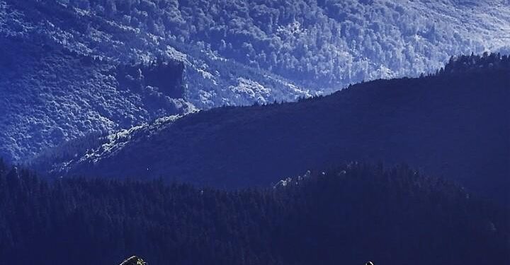 «Lo extraordinario», de Fran Zabaleta