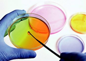 Kit de supervivencia frente al coronavirus (III): días de permanencia en diferentes superficies