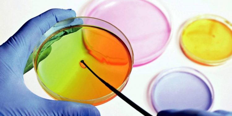 Kit de supervivencia frente al coronavirus (III): días de permanencia en diferentes superficies