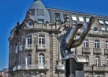 Michael Pacewiz Vigo arquitectura