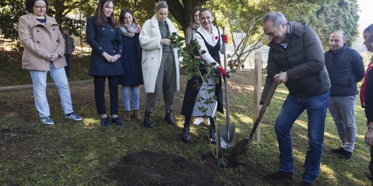 A Deputación de Pontevedra pon en marcha un protocolo de medidas polo coronavirus