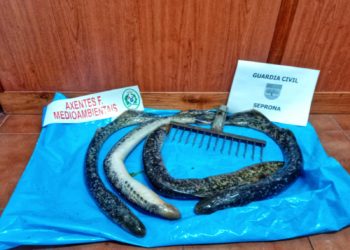 Expediente a un furtivo por saltar o confinamento e pescar lampreas no Tea en Salvaterra