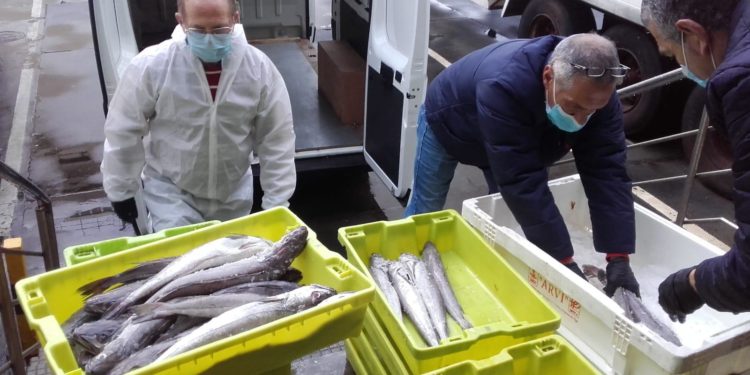Armadores de Marín aportarán 400 kilos de pescado a la semana al Banco de Alimentos