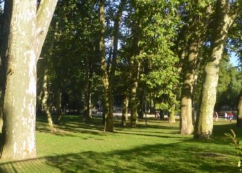 ¿Dónde estarán los ocho nuevos grandes parques de Vigo que contempla el PXOM?