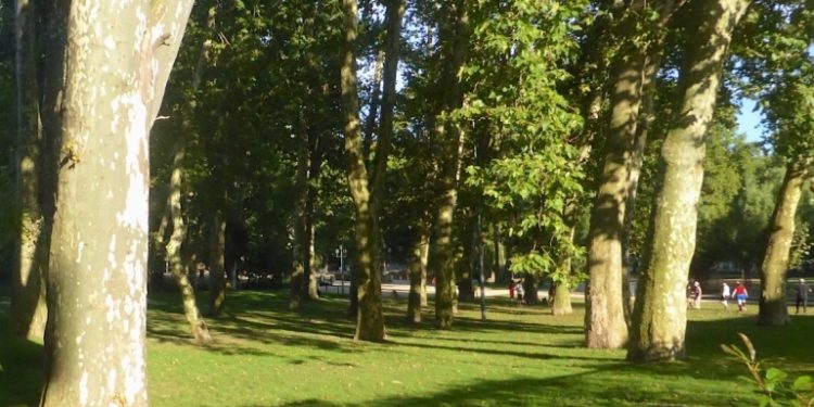 ¿Dónde estarán los ocho nuevos grandes parques de Vigo que contempla el PXOM?