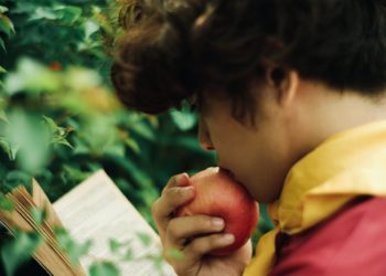 Restaurantes de Vigo regalarán un libro cos pedidos a domicilio que promove o Concello