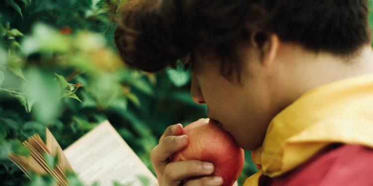 Restaurantes de Vigo regalarán un libro cos pedidos a domicilio que promove o Concello