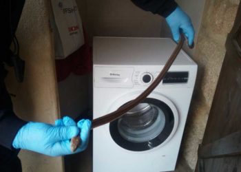 La Policía Local recupera una serpiente de un metro en una casa de Vigo