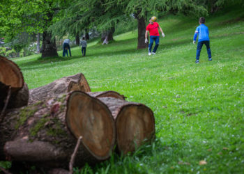 Vigo aproba o contrato de parques e xardíns cun importe de 34 millóns de euros