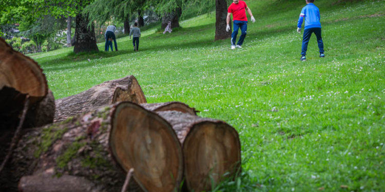 Vigo aproba o contrato de parques e xardíns cun importe de 34 millóns de euros