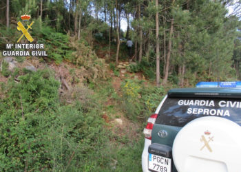 La Guardia Civil sorprende a un vecino de Moaña con colmenas sustraídas en un monte en Meira