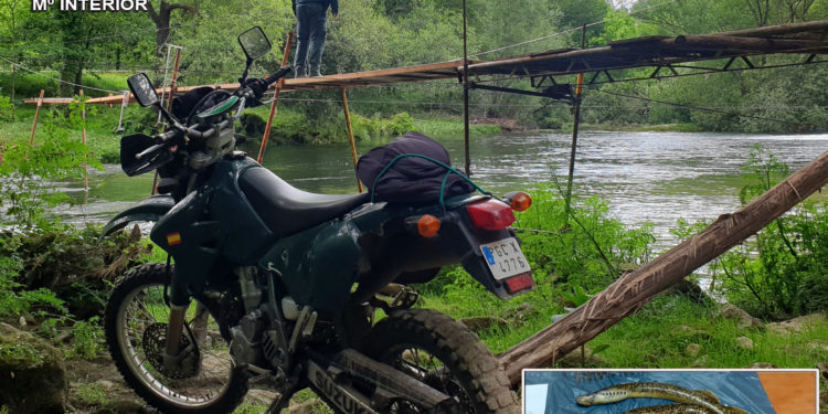Sorprenden a nueve furtivos de lamprea en la comarca del Condado-Paradanta