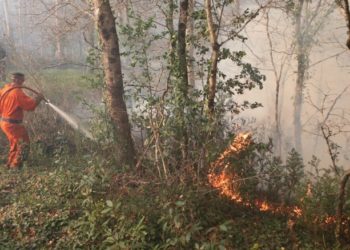 Controlados dos incendios originados en menos de una hora en Salvaterra de Miño