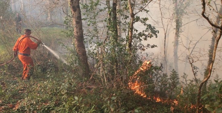 Controlados dos incendios originados en menos de una hora en Salvaterra de Miño