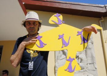 “O cinema de Galicia estaba no mellor momento da súa historia, a crise  do coronavirus  é nefasta”