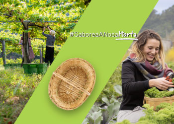 Unha campaña da Deputación pon os produtos da provincia ‘Na Túa Cesta’